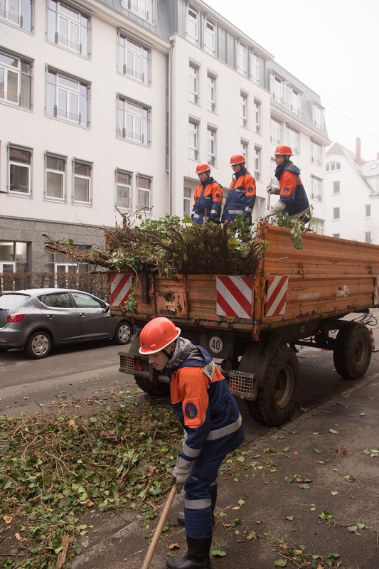 k Werk XXIV Efeu Entfernung Pionierstr 11 02 2017 M Vogt 20